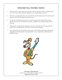Post-dental instructions - Community Animal Hospital
