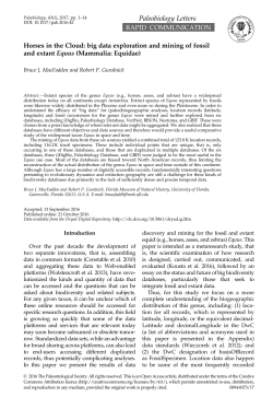 Horses in the Cloud: big data exploration and mining of fossil and