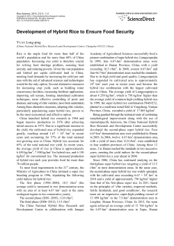 Development of Hybrid Rice to Ensure Food Security