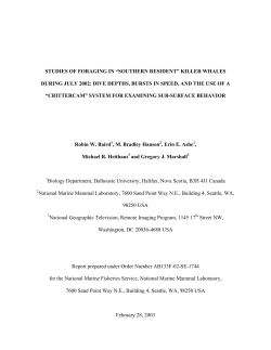 Dive Depths, Bursts in Speed