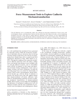Force Measurement Tools to Explore Cadherin