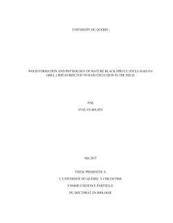 Evelyn Belien Thesis - Constellation (UQAC)