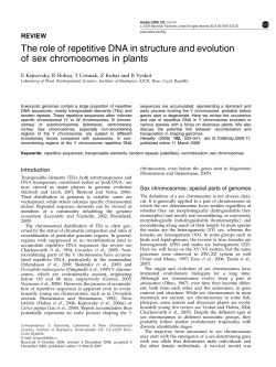 The role of repetitive DNA in structure and evolution of sex
