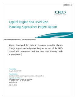 Sea Level Rise Planning Approaches Project Report