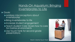 Hands-On Aquarium: Bringing Invertebrates to Life