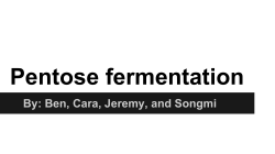 Pentose fermentation
