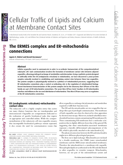 Cellular Traffic of Lipids and Calcium at Membrane Contact Sites