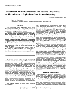 Evidence for Two Photoreactions and Possible