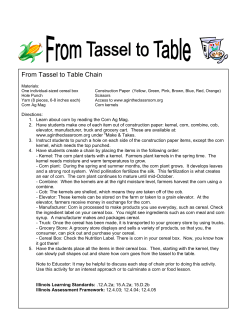 From Tassel to Table Chain - Illinois Ag in the Classroom