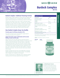 Burdock Complex - Standard Process