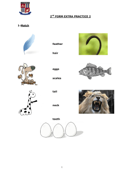 MOCK TEST &ndash; Assessment 2 - e