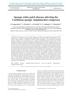 Disease of Aquatic Organisms 99:95
