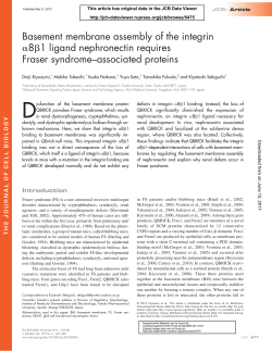 Basement membrane assembly of the integrin &alpha;8&szlig;1 ligand