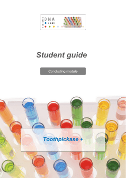 Student guide Toothpickase +