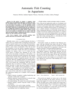 Automatic Fish Counting in Aquariums