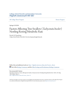 (Tachycineta bicolor) Nestling Resting Metabolic Rate