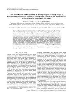 The Role of Roots and Cotyledons as Storage Organs in Early