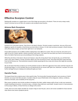 Effective Scorpion Control