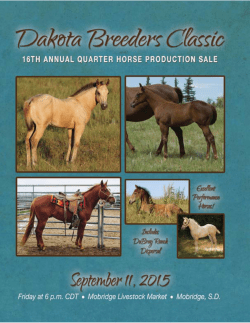 Dubray Ranch - Dispersal - Five Arrow Quarter Horses