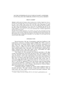 MATURE INTERMEDIATE-SCALE SURFACE KARST LANDFORMS