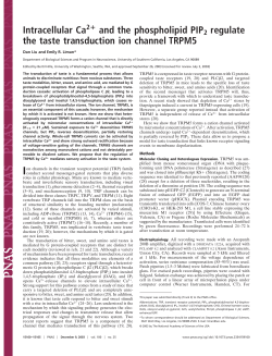 Intracellular Ca and the phospholipid PIP2 regulate the