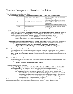Teacher Background Grasslands and Paleoclimate