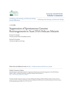 Suppression of spontaneous genome rearrangements in yeast DNA
