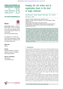 Imaging the cell surface and its organization down to the level of