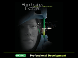 Forensic DNA Fingerprinting