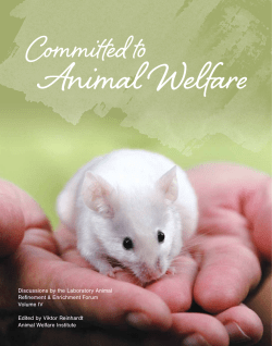 Committed to Animal Welfare