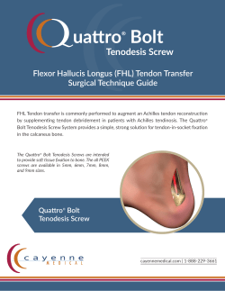 Quattro&reg; Bolt Tenodesis Screw