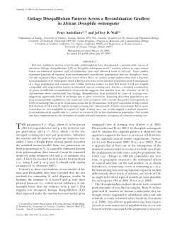 Linkage Disequilibrium Patterns Across a Recombination Gradient