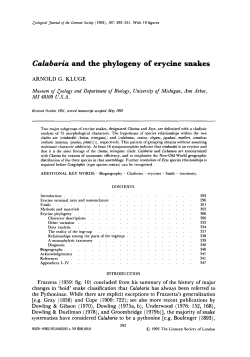 Calabaria and the phylogeny of erycine snakes