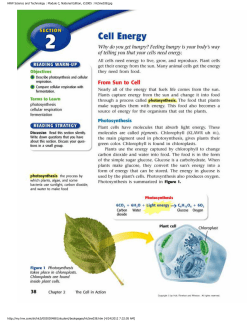 Cell Energy HW 5/3