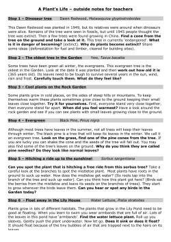 A Plant`s Life &ndash; outside notes for teachers