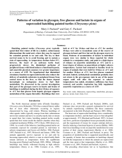 Patterns of variation in glycogen, free glucose and lactate in organs