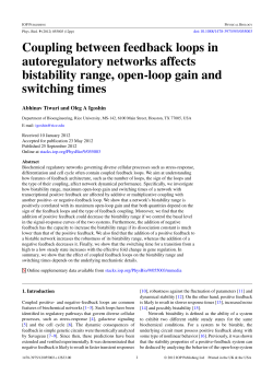 Coupling between feedback loops in autoregulatory networks affects