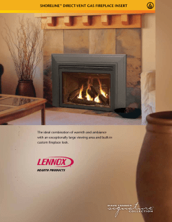 ShOReLINe&trade; DIReCT-VeNT GAS FIRePLACe INSeRT