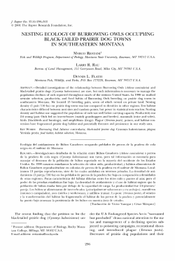 NESTING ECOLOGY OF BURROWING OWLS OCCUPYING