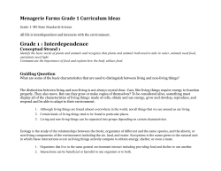 Grade 1 Curriculum Ideas MS
