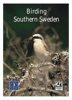 Birding Southern Sweden