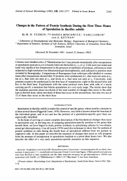Changes in the Pattern of Protein Synthesis During