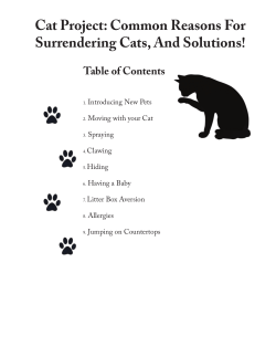 Cat Project - Green Mountain Animal Defenders