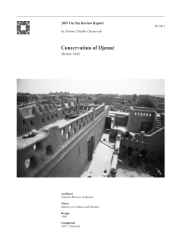 Conservation of Djenn&eacute;