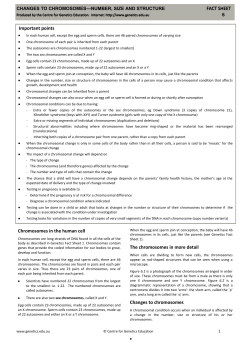 FACT SHEET FACT SHEET 6 Important points Chromosomes in the