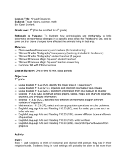 Lesson Plan PDF* Now