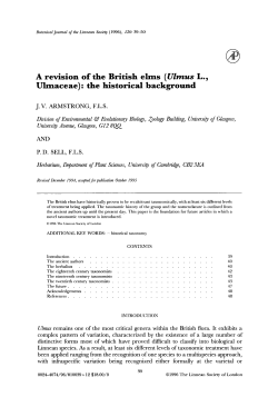 A revision of the British elms (Ulmus L