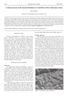 A sharp increase in the natural abundance of sand flies in Kfar