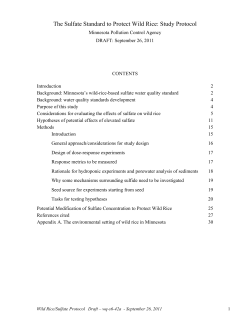 The Sulfate Standard to Protect Wild Rice