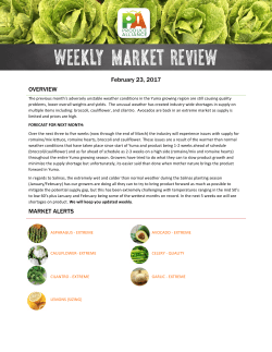 Market Report